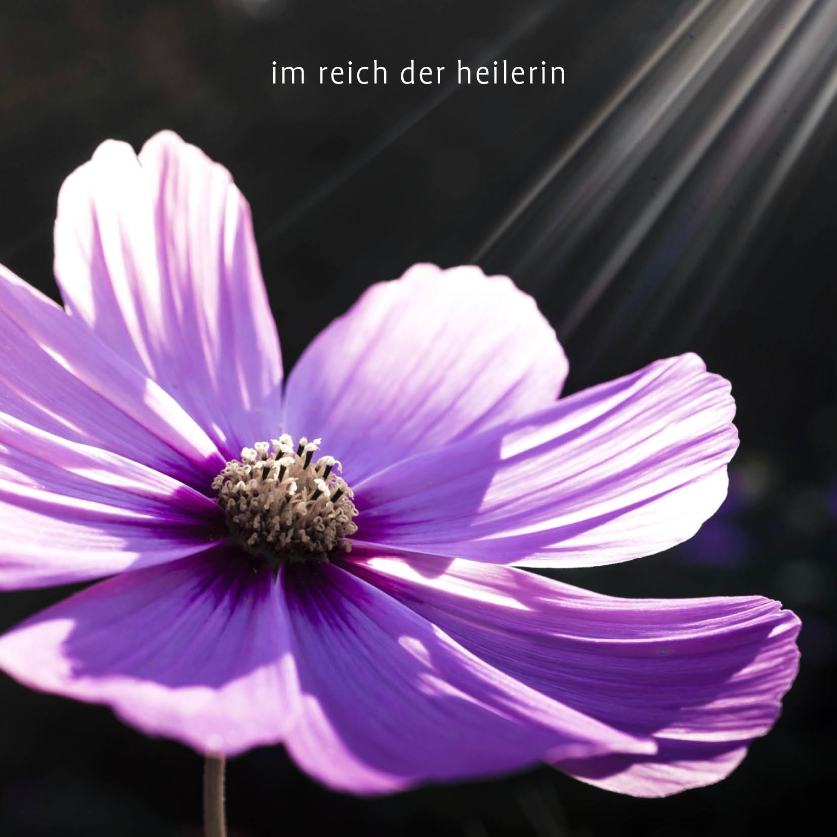 2026 birgit im reich der heilerin